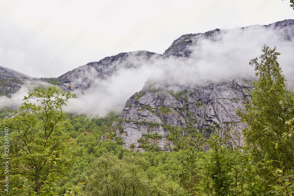 grüne Wälder und Nebel im Gebirge
