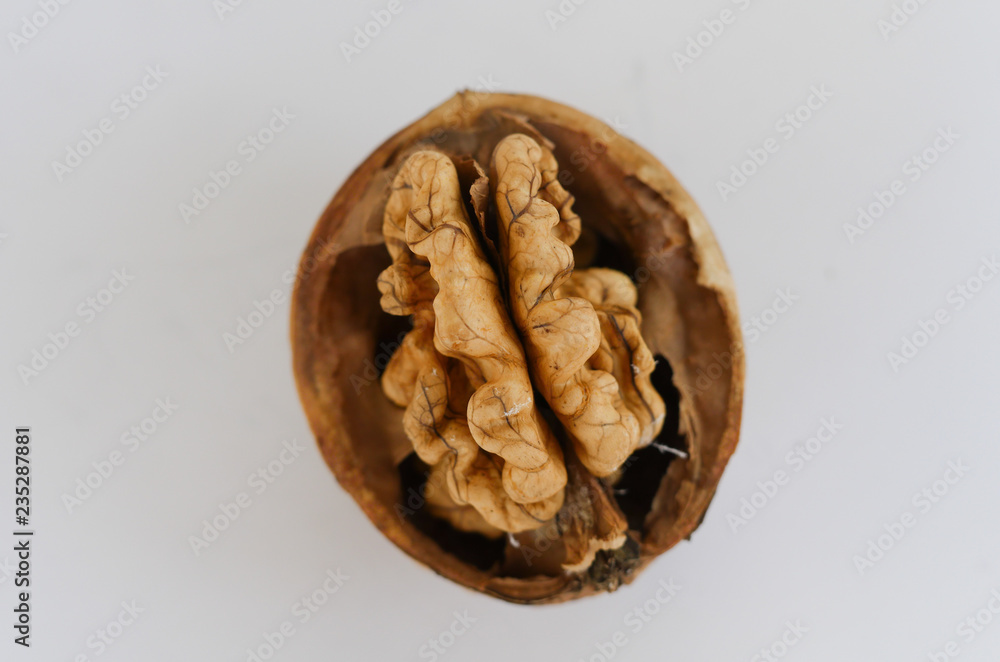 Dried out walnut kernel in shell Dried out walnut kernel in shell