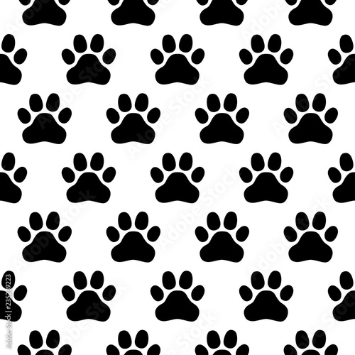 Photography Seamless pattern of print of dogs paws on a white background