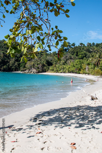Wunderschöner einsamer Strand im Nationalpark Manuel Antonio in Costa Rica mit Palmen und Bäumen