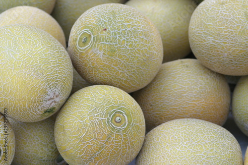 Melonen