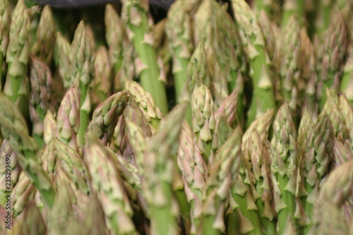 Spargel