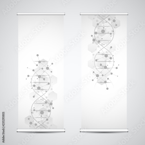 Roll up banner stands with DNA strand and molecular structure. Genetic engineering or laboratory research. Abstract geometric texture for medical, science and technology design.