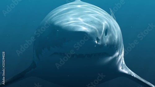 Great White Shark (Megalodon). Realistic 3d animation 4K. photo