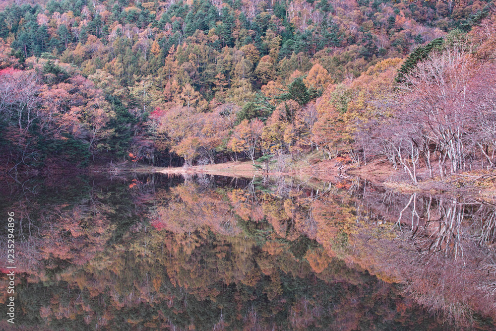 秋の椹池(山梨県韮崎市)