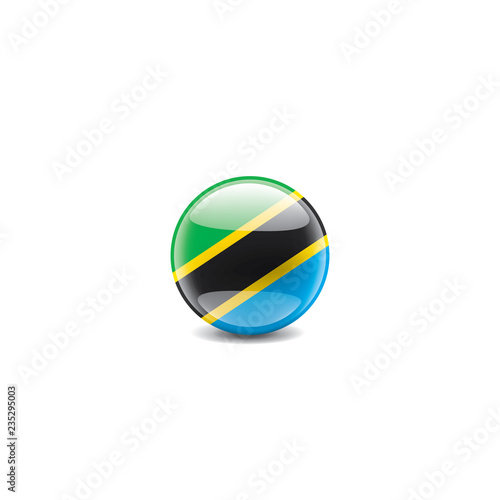 Tanzania flag  vector illustration on a white background