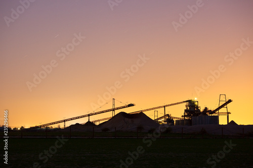 Pebble Plant Silhouette At Dusk