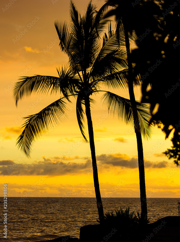 Palmen Silhouette mit goldenem Abendhimmel auf Oahu, Hawaii