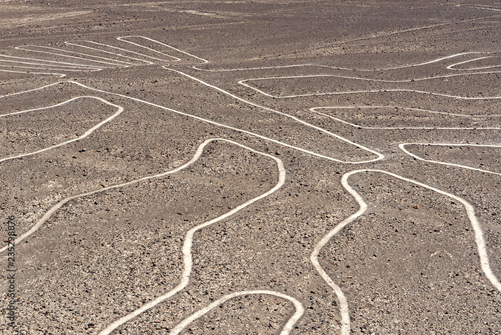 The Tree Nazca Line seen from observation deck, Peru
