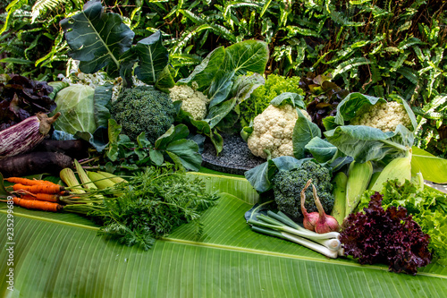 Légumes variés
Légumes variés à la Réunion photo