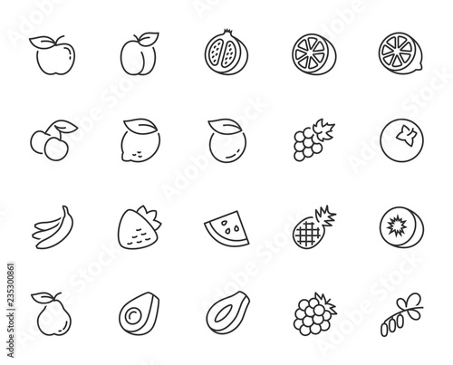Vector fruits icon set in thin line style