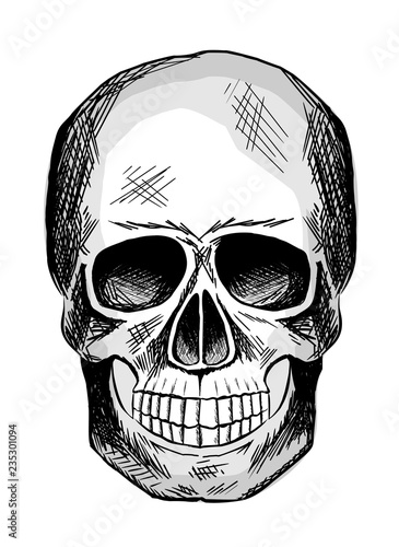Black and white sketch of human skull