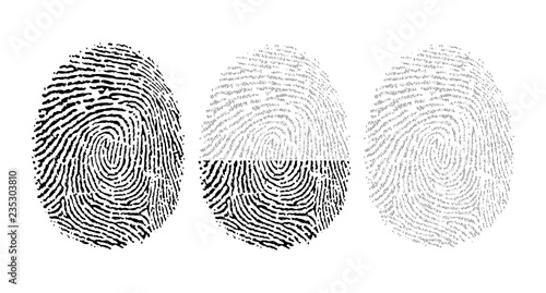 Vector fingerprint consisting of binary code