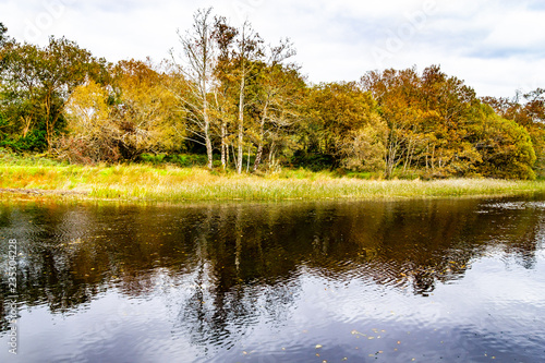 Trees and reflection in Owenriff river