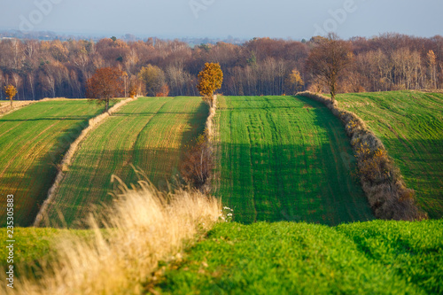 agricultural fields in rural countryside area at sunset, Poland photo