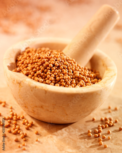 MUSTARD SEEDS IN PESTLE AND MORTAR