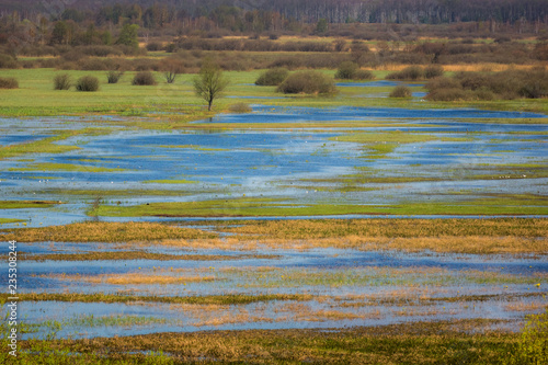 Landscape with Biebrza river near Goniadz, Podlaskie, Poland photo