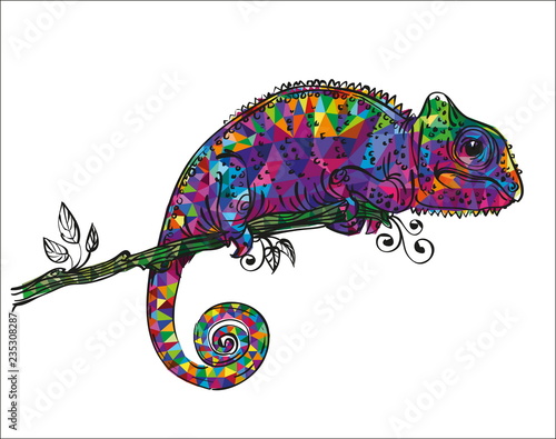 drawing of a colorful chameleon