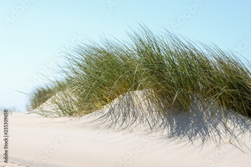 Dune at the Dutch North Sea. Wadden sea, Friesland, Texel.