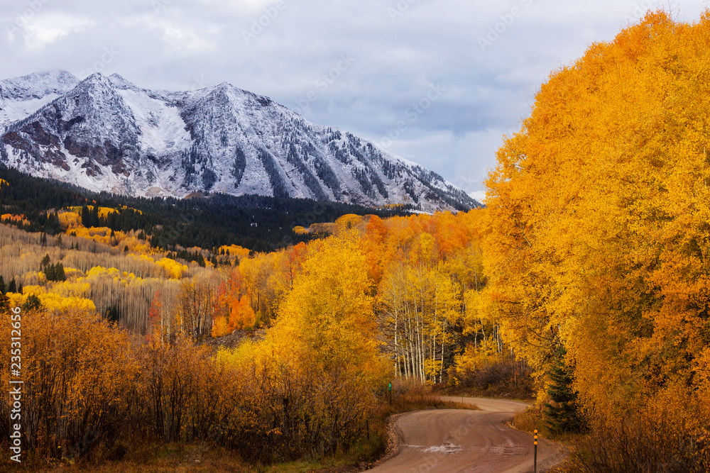 Obraz premium Autumn in Colorado