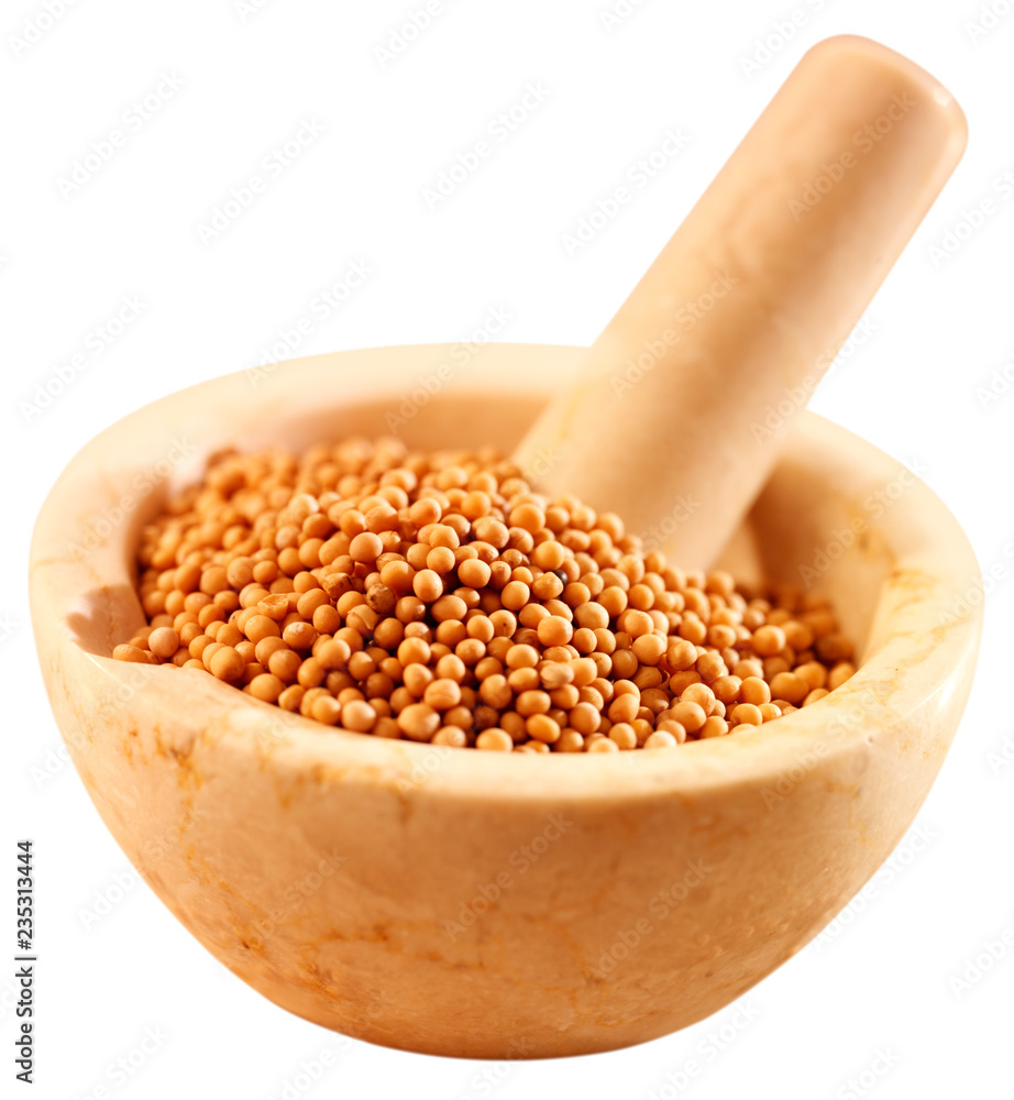 MUSTARD SEEDS IN PESTLE AND MORTAR CUT OUT MUSTARD SEEDS IN PESTLE AND MORTAR CUT OUT