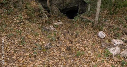 Wallpaper Mural Cave entrance in a rural community dedicated to ecotourism in Campeche, Mexico. Torontodigital.ca