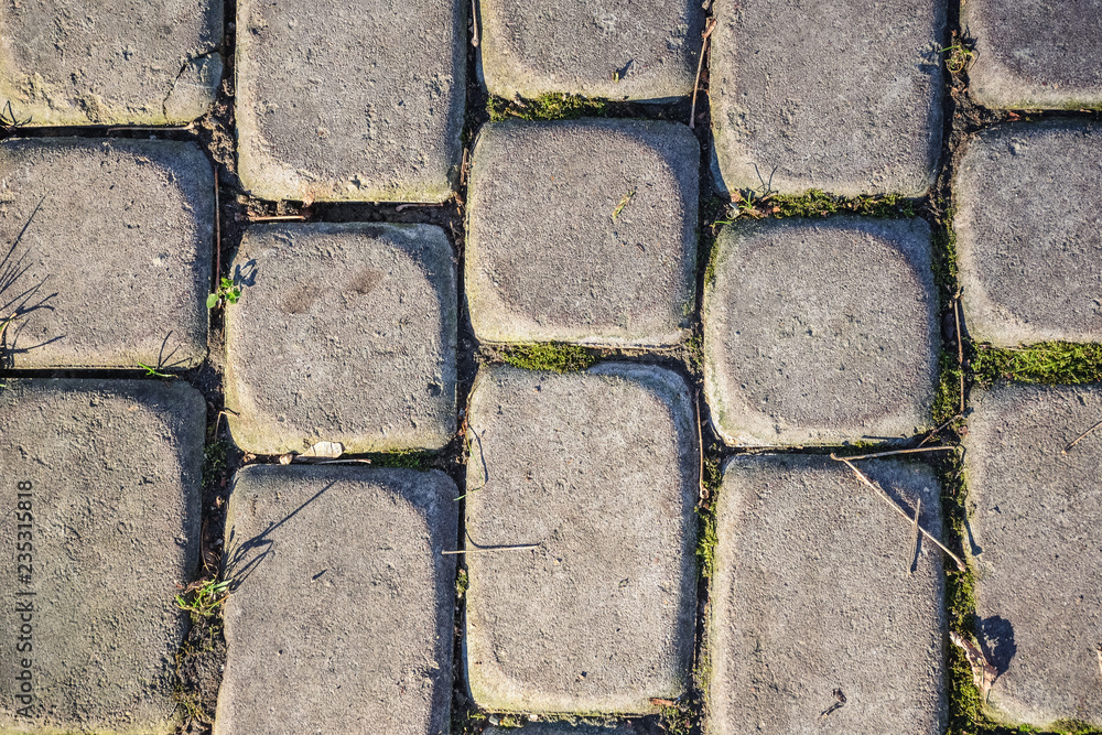 Obraz premium Gray paving stones in the park closeup