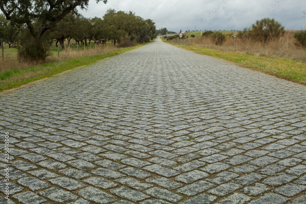Fototapeta premium Cobble stone road shot from low angle