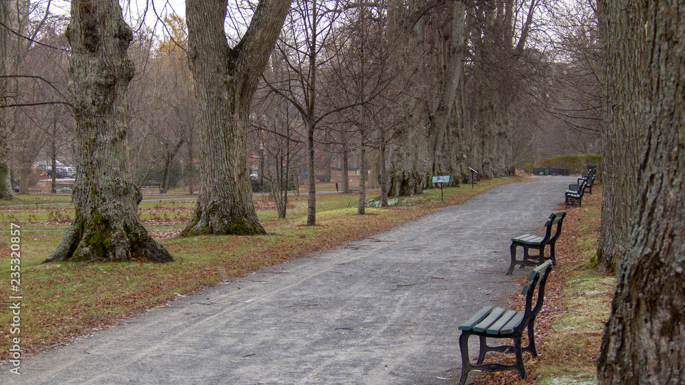 Empty walking path in public gardens during autumn.