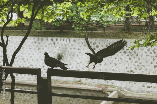 Photography Seoul National Cemetery, Seoul, South Korea