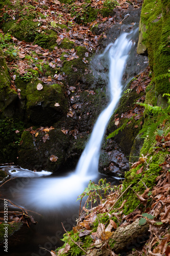 Small hidden waterfall on a hike through a forest  wonderful autumn scene with moss  small stream and blurred water flowing from the rocks. Quiet  clean and serene scenery.