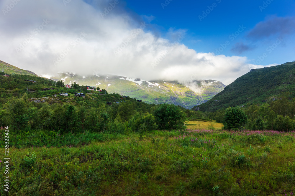summer mountain landscape of Norway