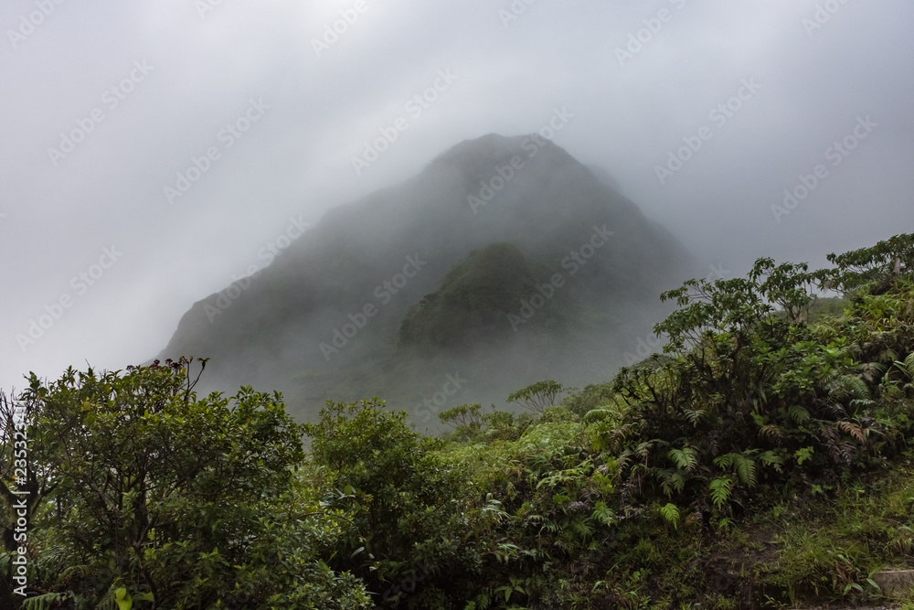 The Mount Pelee Volcano and the fog in the jungle of Martinique