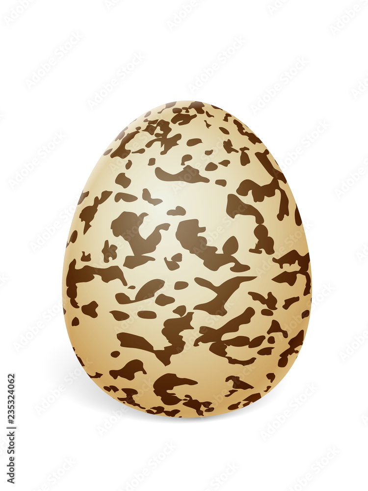 Quail egg Quail egg