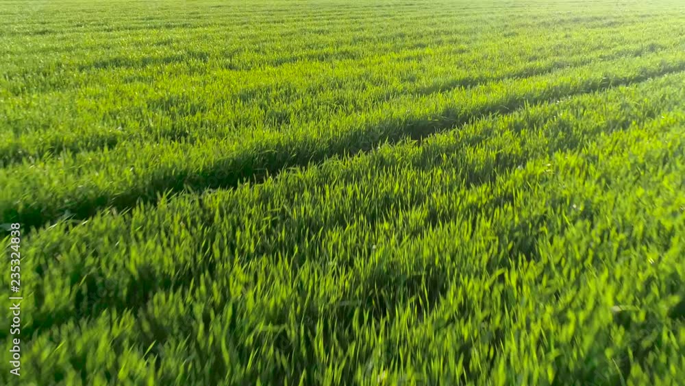 Aerial Overflight of a green field Aerial Overflight of a green field