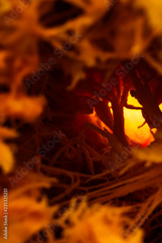 Abstract texture. Orange thick fibers. Backlighting. Fantastic plot. The middle of a ripe pumpkin.
