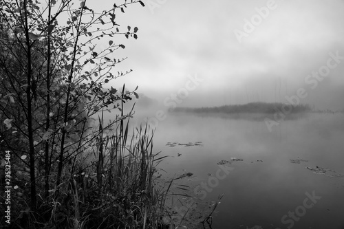 river and trees on a foggy autumn morning.