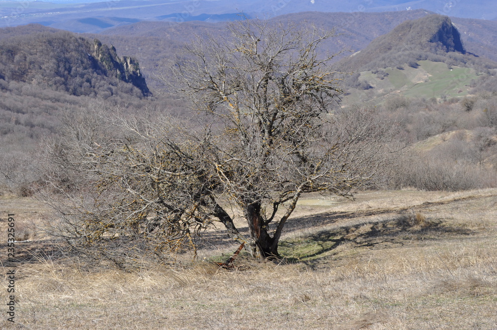 Obraz premium Georgia