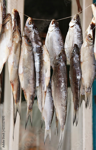 Dried fish hanging on a rope