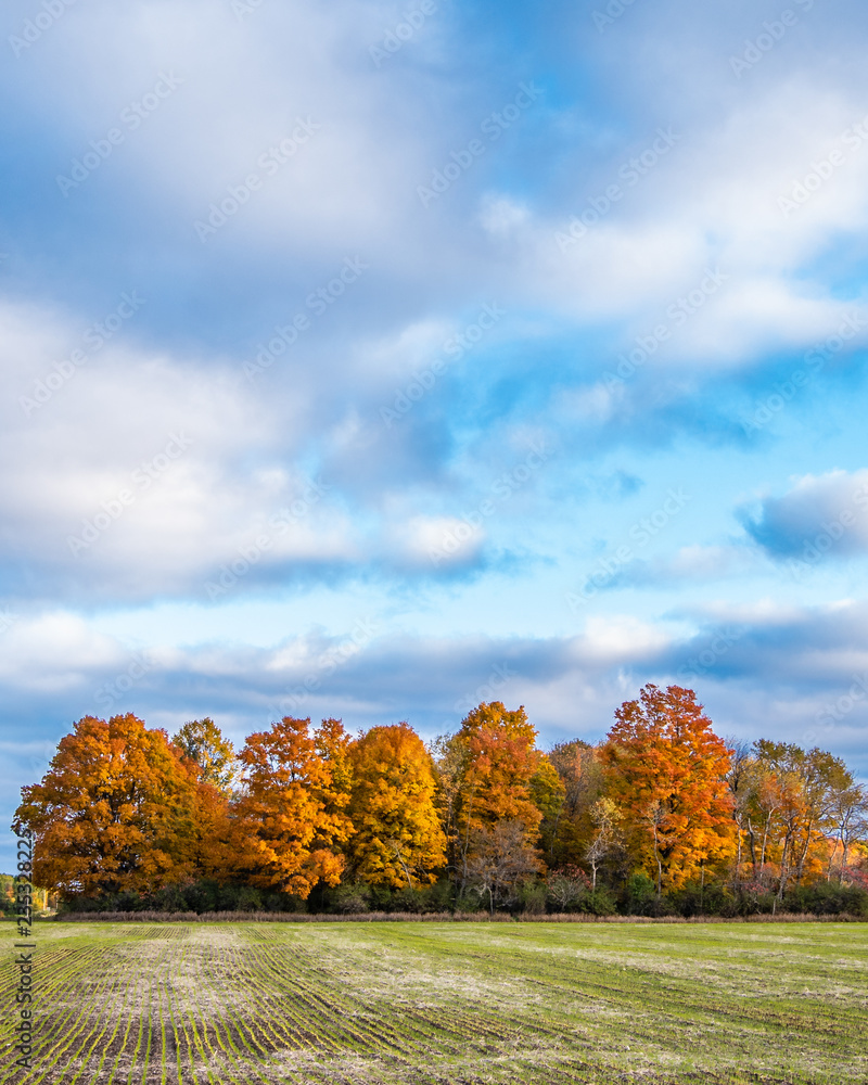 Fototapeta premium Farmland in autumn