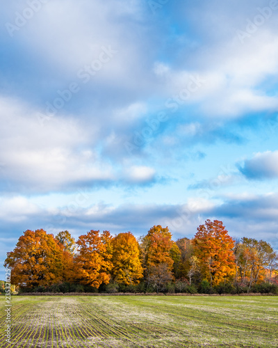 Farmland in autumn