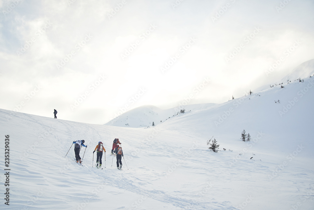 Skitouring group with mountain views in winter