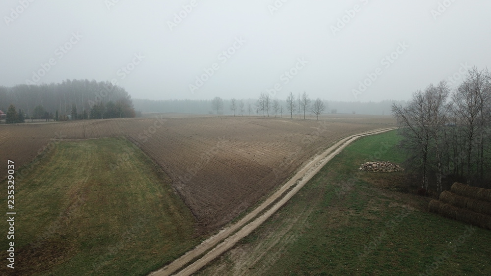 road field meadow crop fog autumn gray gloomy autumn trees