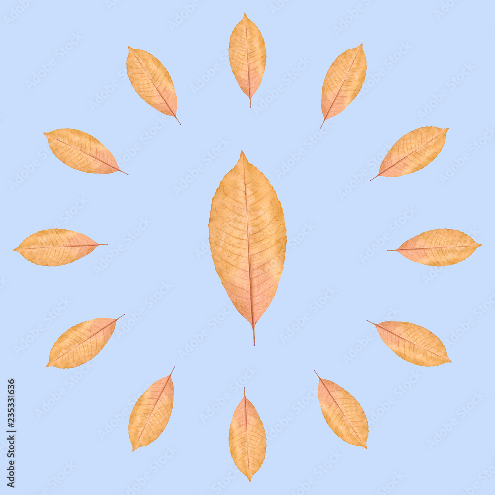 Close up of yellow autumn leaf background, clock composition