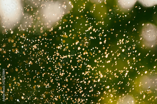 Abstract natural blurred background of leaves, soft focus bokeh lights and golden water drops of rain. Natural defocused background, perfect for creative designs.