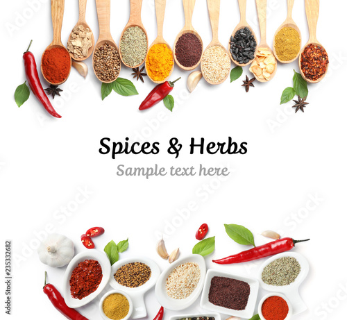 Set of different spices and herbs with space for text on white background, top view