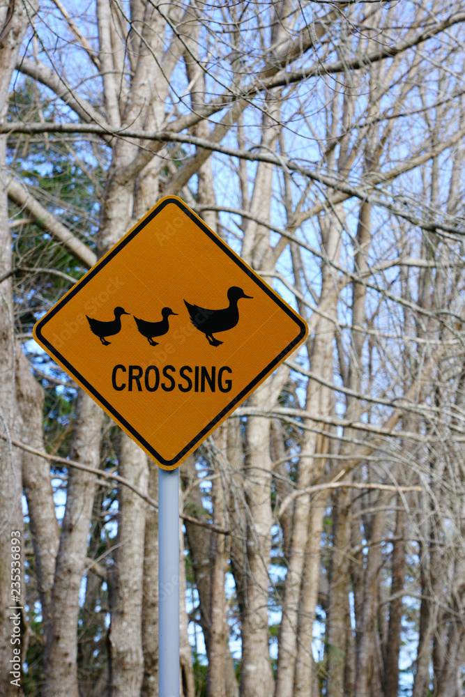 A duck crossing sign with a mother duck and two baby ducklings on a road in New Zealand
