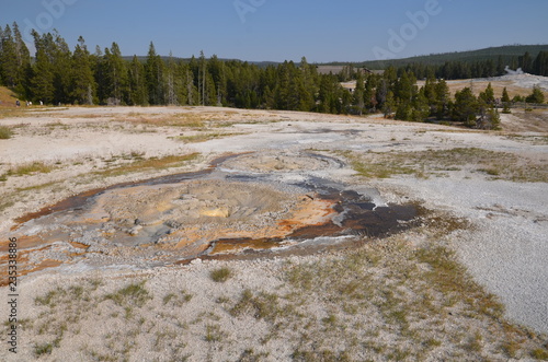 UPPER GEYSER BASIN YELLOWSTONE NATIONAL PARK (WYOMING) USA