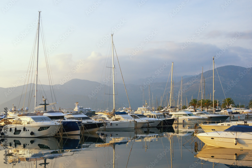 View of yacht marina of Porto Montenegro .  Montenegro, Adriatic Sea, Bay of Kotor, Tivat city