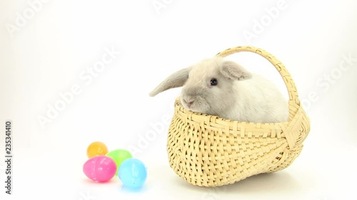 Bunny in Basket with Easter Eggs